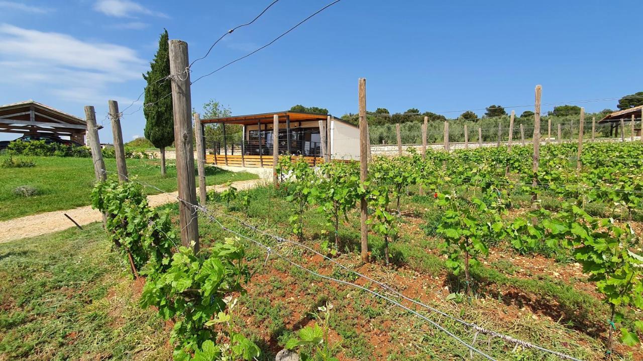 Collis Winery - Family & Friends - Mobilhome Rovinj Exteriör bild